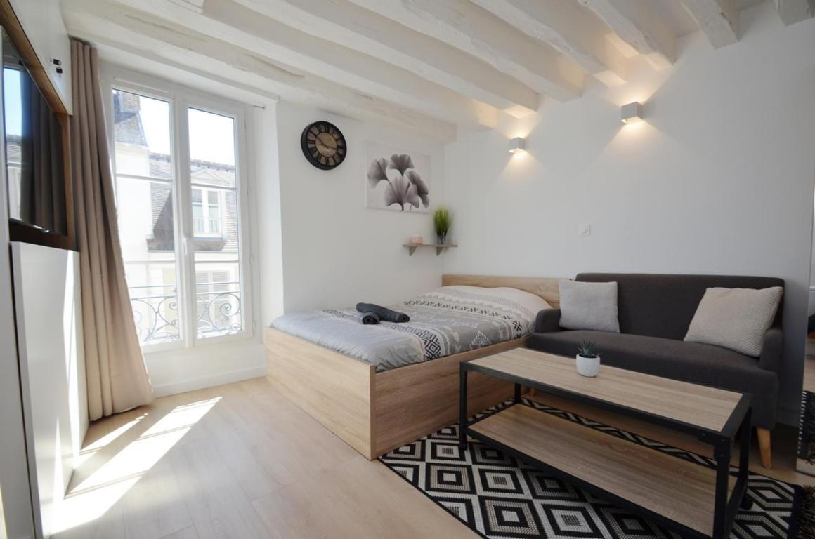 Le Petit France - Hyper Centre De Fontainebleau - Proche Insead Apartment Ngoại thất bức ảnh